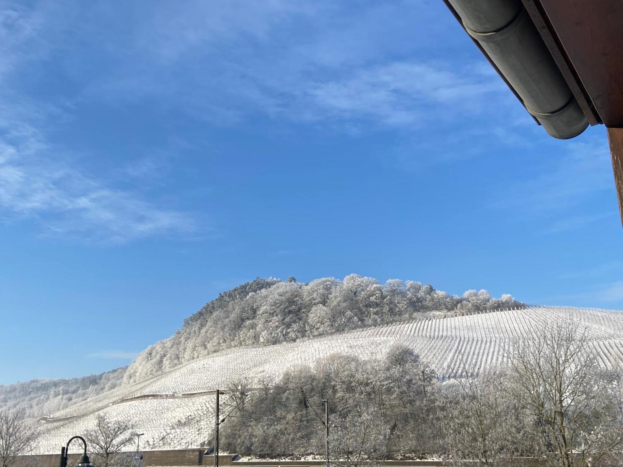 Gastehaus Und Weingut Bernd Frieden Hotel Nittel Exterior foto