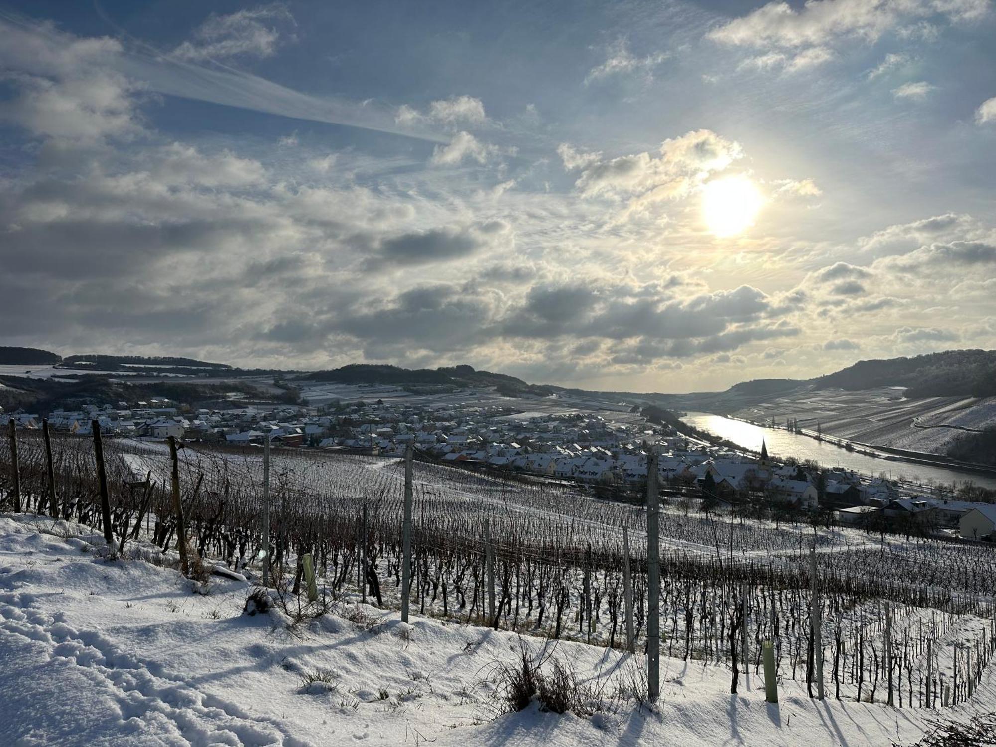 Gaestehaus Und Weingut Bernd Frieden Nittel Exterior foto