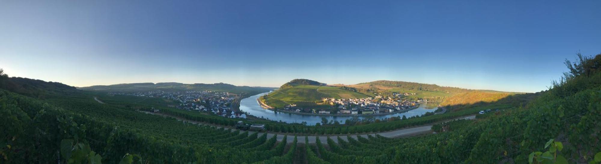 Gaestehaus Und Weingut Bernd Frieden Nittel Exterior foto