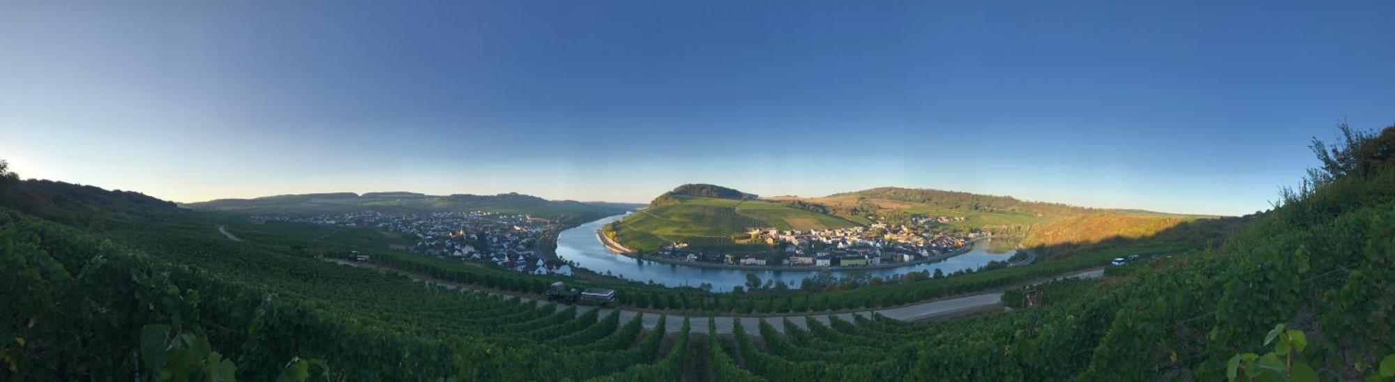 Gastehaus Und Weingut Bernd Frieden Hotel Nittel Exterior foto