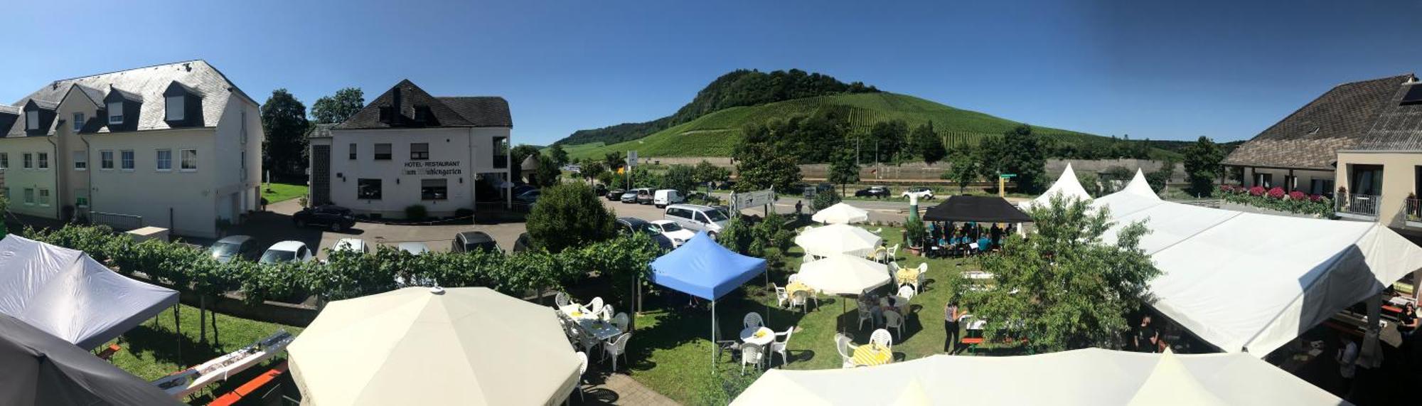 Gastehaus Und Weingut Bernd Frieden Hotel Nittel Exterior foto