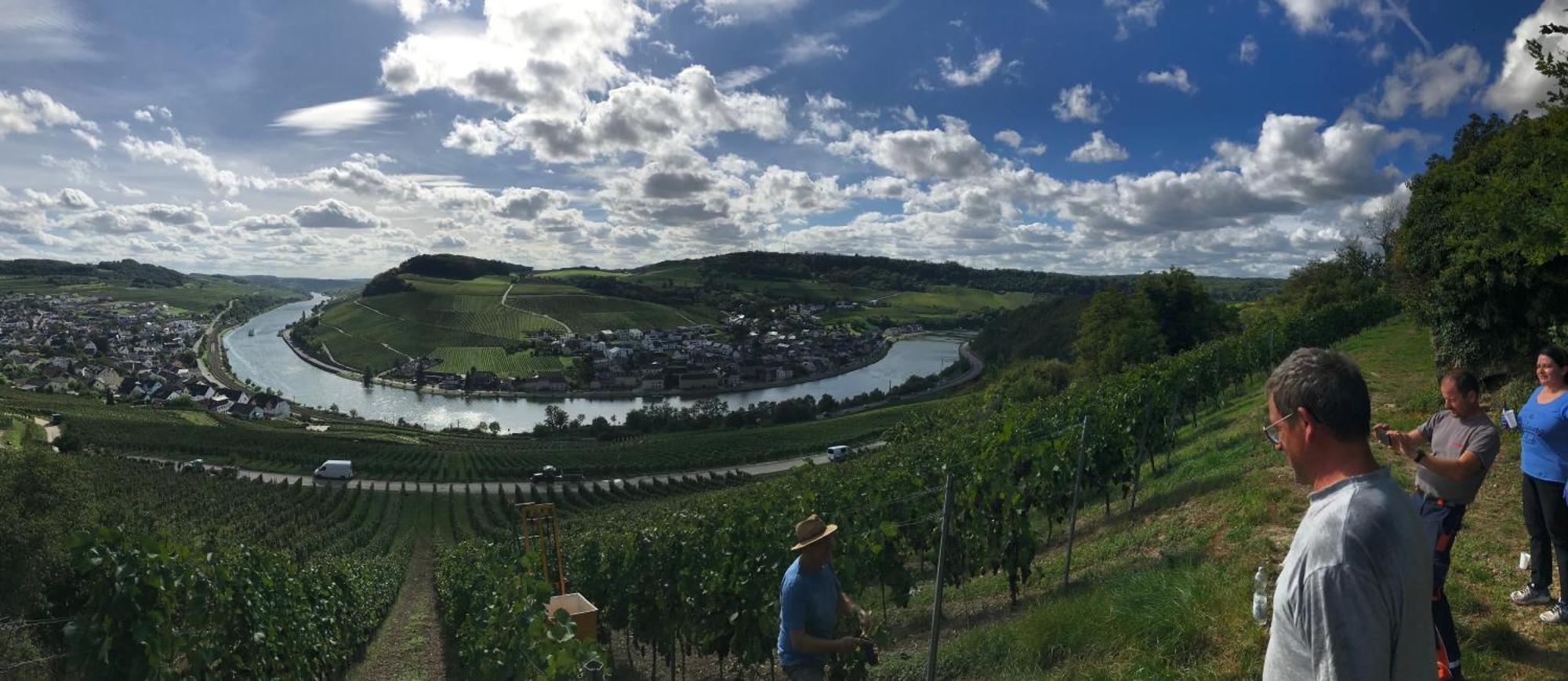 Gaestehaus Und Weingut Bernd Frieden Nittel Exterior foto