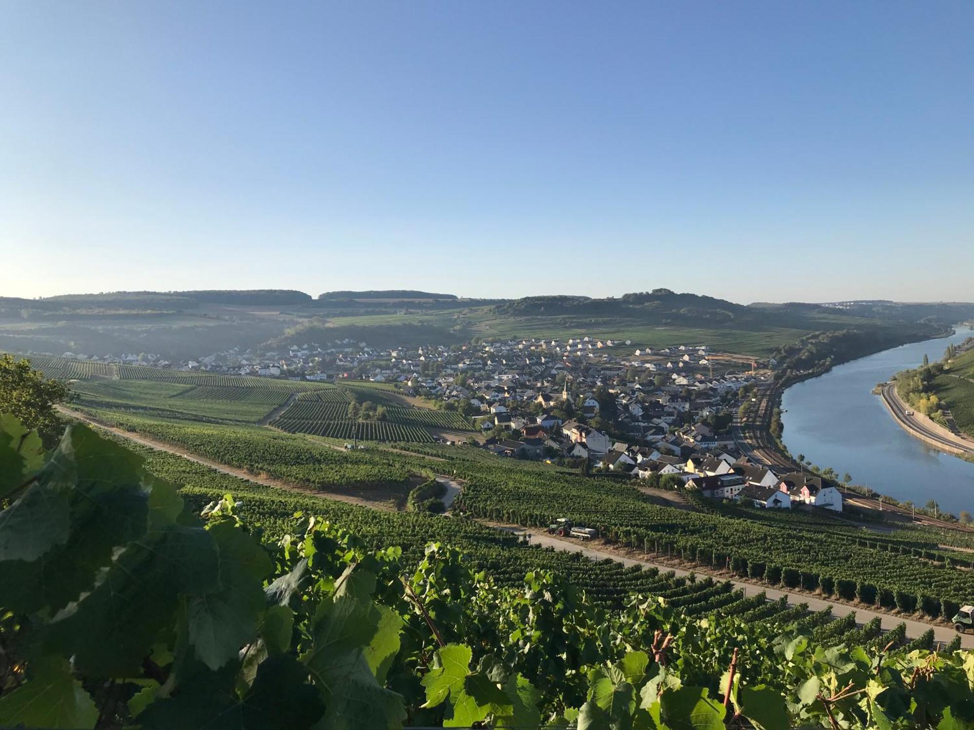 Gaestehaus Und Weingut Bernd Frieden Nittel Exterior foto