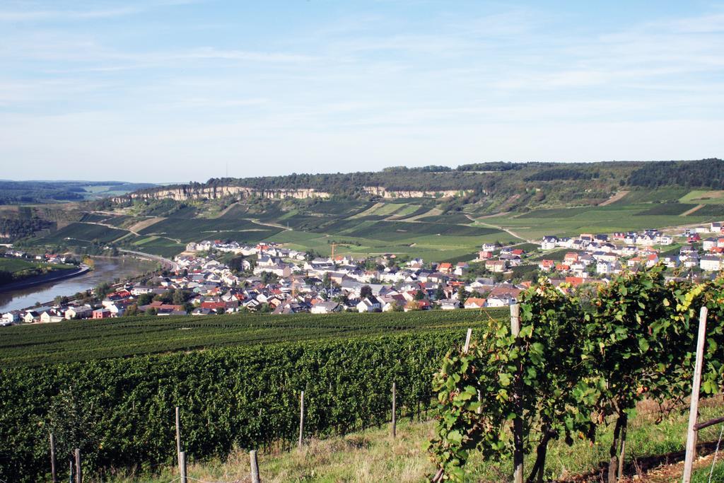 Gastehaus Und Weingut Bernd Frieden Hotel Nittel Exterior foto